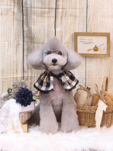 20241002宇宙くん